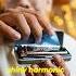 Best Musical Gift Idea Strydom Harmonica