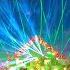 Best EDM Festival Music Mix 2019 Best Of EDM Party Electro House Music Big Room House