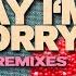 Hard To Say I M Sorry Radio Edit