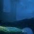 Dark Souls Moonlight Butterfly NO HUD CALAMITY RING NO DAMAGE MELEE SOLO NG 7