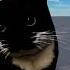 Maxwell The Cat Theme 10 HOURS