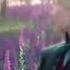 Elsa And Anna S Parents Love Story