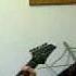 Sarpanitum New Album Writing Update