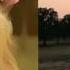 Head Games Lana Del Rey Imogen Heap Mashup