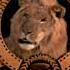 Metro Goldwyn Mayer Pictures Universal Pictures 2001 US High Tone
