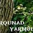 Yarmət Yarqunat Soyuq Günəş