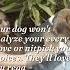 Unconditional Love Your Dog Doesn T Care About Your Social Status Wealth Shorts