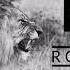 Katy Perry Roar Rock Remix