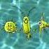United Plankton Pictures Inc Disney Channel Original IAW 1999 2001