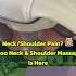 HiZoo Pillow Neck Shoulder Massager Review Best Neck Pain Relief Hack