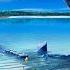 Francesco Rossi Paper Aeroplane Artur Montecci Remix Mix 04 8kMusic