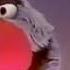The Muppets The Nose Song