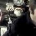 Folsom Prison Blues Johnny Cash Cover Por Bastardos Country Rock