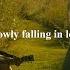 Playlist You Re Slowly Falling In Love Again