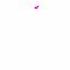 Kitty Channel Afnan Treated Me L Have Proof