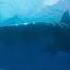 Shark Movies Compilation