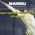 MANGU FOURTWNTY FT CHARITA UTAMI Shorts Music Liriklagu