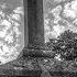 FREE Dark Choir Rap Beat Hip Hop Instrumental 2015 4 Free Beats By MR HODEN