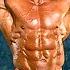 Rich Gaspari What Happened To This Bodybuilding Legend