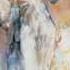 Willem Haenraets