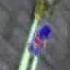 Sonic Riders Japanese Commercial