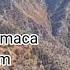 Harun Atmaca Sunam