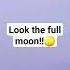 THE FULL MOON WATCH TO THE END