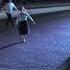 Circassian Dances Shorts Tlleperush