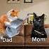 CAT MEMES When You Missed Your Mom S Call Catmemes Memes Funnymemes Funny Foryou Relationship