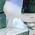 Powerful Waterproof Glue
