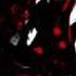 Psychopath Yuyoyuppe Cover Black Dog Barks