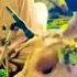 Pothwari Sher Saaz 2024 Pothwarishersaaz Youtubeshorts Shorts Pothwarisher