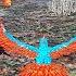 Phoenix Sim 3D LV15 Wildcraft Wildlife Phoenix Bird In A Simulator Android Ios Gameplay 3