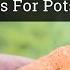 Spring Container Vegetable Garden 3 Easy Veggies For Pots