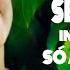 Sequência Internacional Romântica De Reggae Remix Só As Melhores 2023