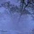Thurisaz Years Of Silence