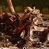 See You Again Paul Walker S Fastandfurious Paul Edit Rip Movie Music Song Death Reels