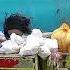 Garbage Truck Crushing Diapers