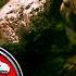 JURASSIC PARK 3 2001 IS ACTUALLY FUN MOVIE REACTION Road To Jurassic World Rebirth