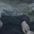 Alan Walker Baby Don T Go Feat Kelly Clarkson HD