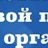 Совет врача Болевой порог как повысить болевой порог можно ли стать менее чувствительным к боли