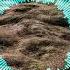 NCM NOCOPYRIGHTMUSIC Nana Kwabena Aviated