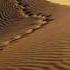 Gipsy Kings Viento Del Arena