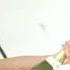 Andrea Costi Ft Shaggy Champagne Balkan Rmx Official Video 2011