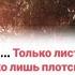 В винограднике смоковница росла но увы не приносила она плода