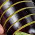 Cut An Eggplant Like THIS Air Fryer Game Changer