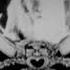 Goldwyn Pictures Logo 1923 RARE
