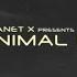 PLANET X Presents Minimal Madness Radio Show 135 Guest Mix Olga Misty 19 11 2020