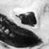 Jack Stauber Dog Nightmare Ll Lyrics Ll