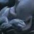 Rise Of The Guardians OST Main Song Still Dream Renée Fleming HD Lyrics